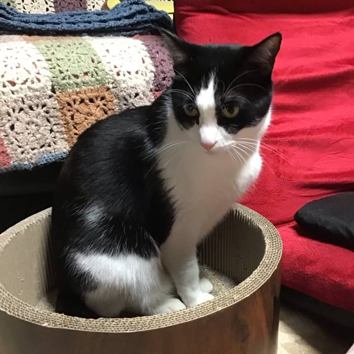 3544b5fd a1a5 4a15 9e03 da82d8db45f6 1701690208660