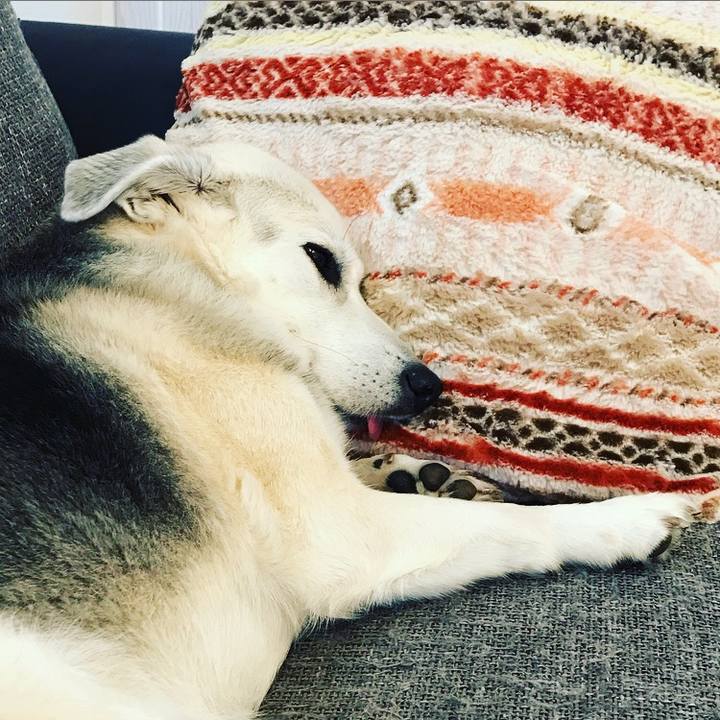 3544db37 ade5 43a7 9a67 a9f594279e08 1607604929944