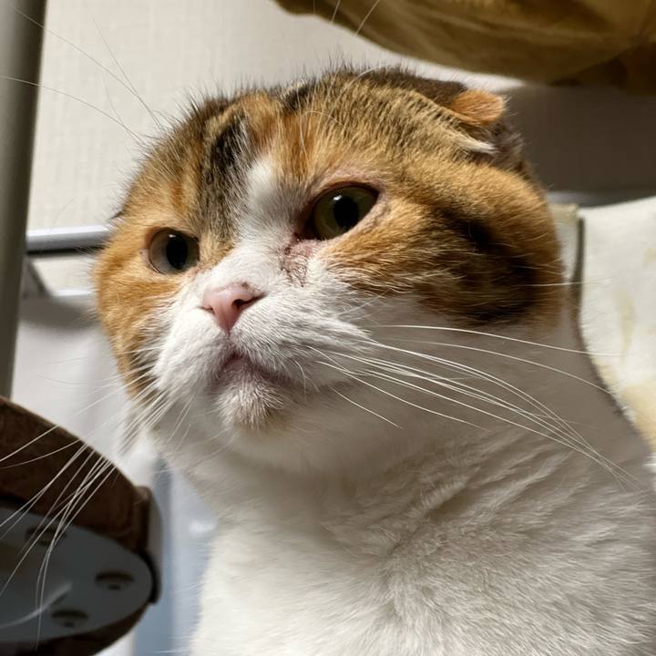 3544e50f f654 4dda ac68 4ebccdf46cf2 1647591367800