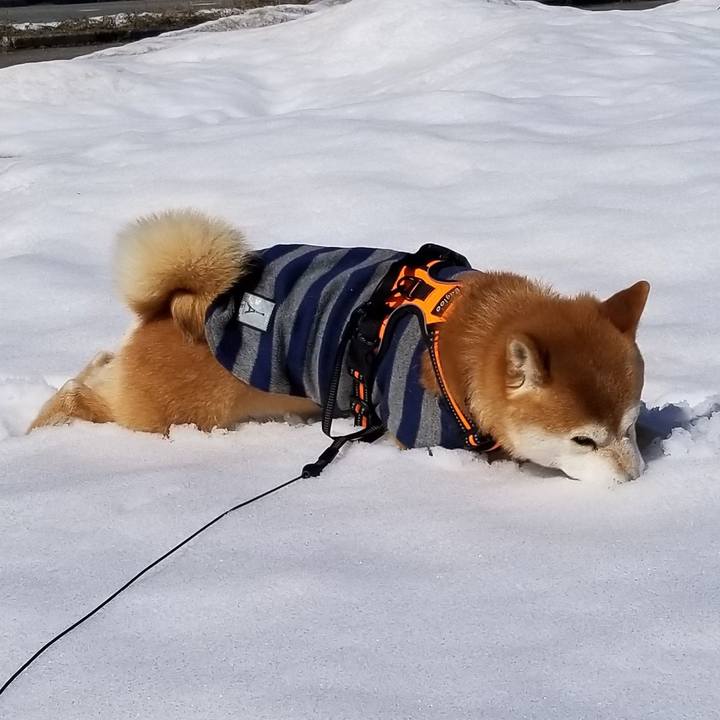 3544e674 c5bb 42c2 9278 308eb1733dd0 1582083873767