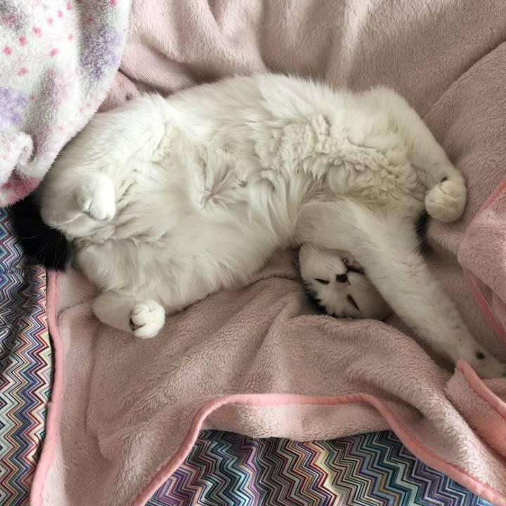 35451277 63e6 4753 b4c2 adf126f79681 1516422399050