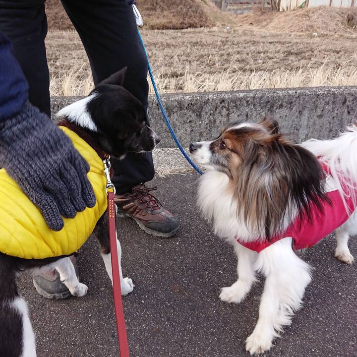 3545191f 6366 413b ae07 cddc2125fa3b 1518513159253