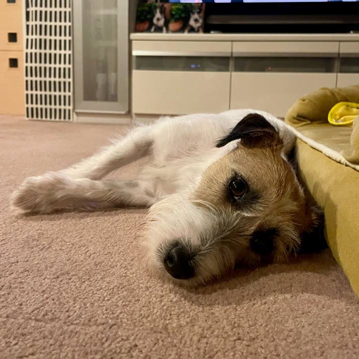 35453477 6455 4ff5 acb7 6235d393a16d 1656592960691