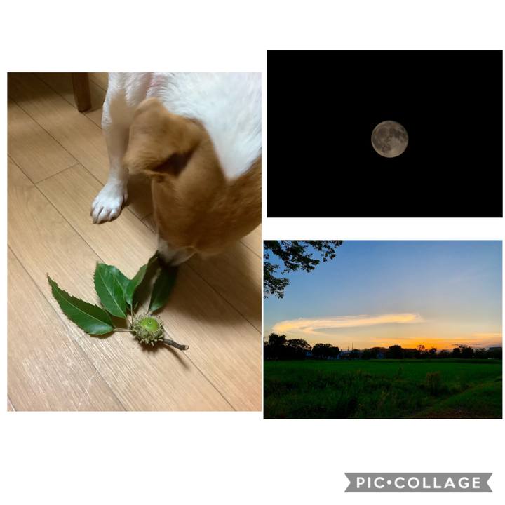 354547d8 c39a 45f6 8e99 e39d63c9825c 1565956373493