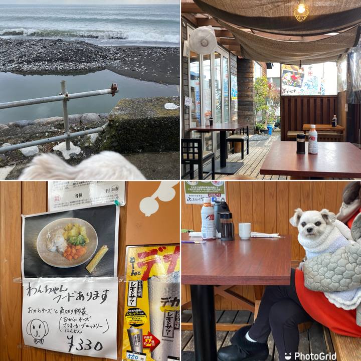 35454e07 9234 45b6 9609 3c98a34faa64 1645340979655