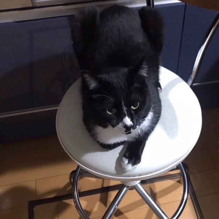 35456e03 15b6 4753 97a4 61841159ab83 1653540088057