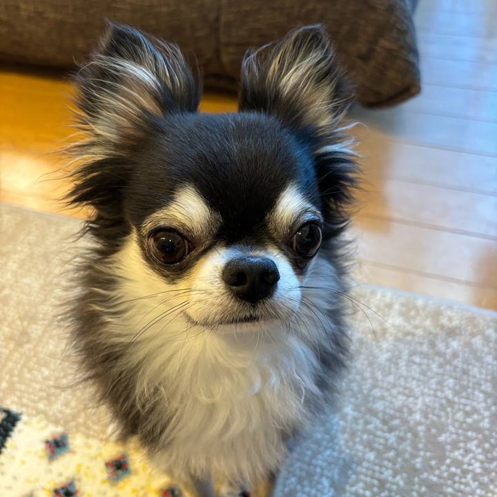 3545a347 84c5 4c2c a629 a05f1cbd8957 1723391382784