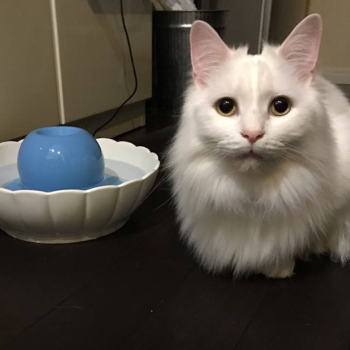 3545bf39 e88d 4dcc a32b 12c024d1e2d4 1550490100184