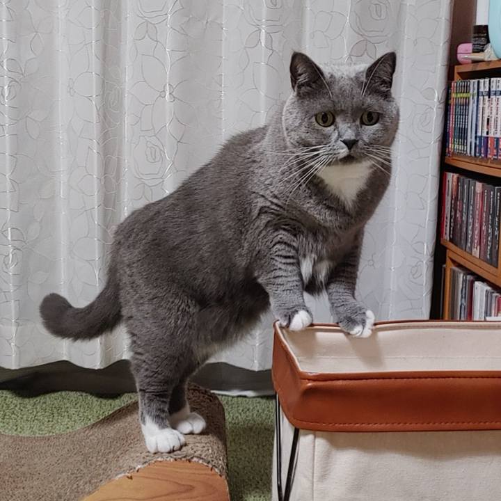 3545d882 b70e 4bbc b94e 89cbfec92228 1661083659092