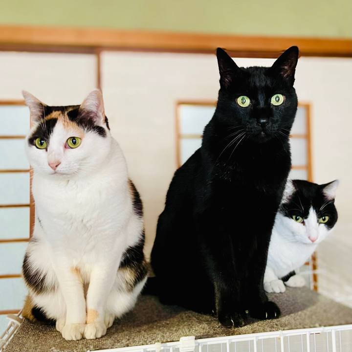 3545d891 92cd 4ab1 a4ff efd3db0c7332 1610677963613