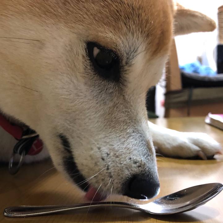 3545e58d c093 44ca 85e8 af8e6670d623 1524875335281