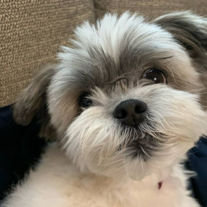 3546056b fdf7 49d1 aa50 d3fd2688feec 1636190570308