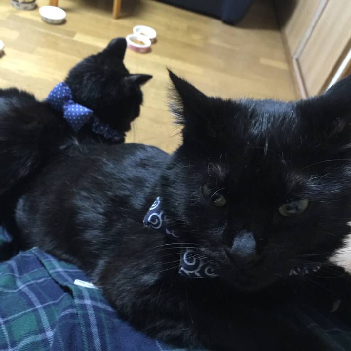 354641f8 3006 4036 b515 bcecf0c42106 1551358683810