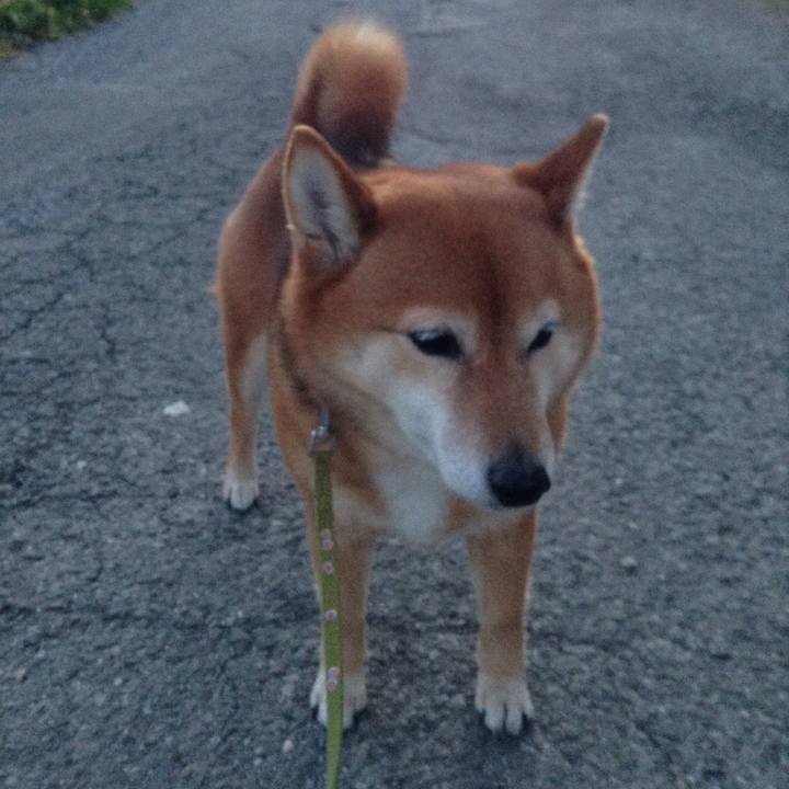 35464d3b 1f25 438e ae49 5422fd261957 1552468343658