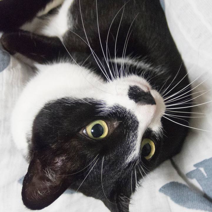 3546558b 3c6c 464c a904 4db587118e3b 1527117686590