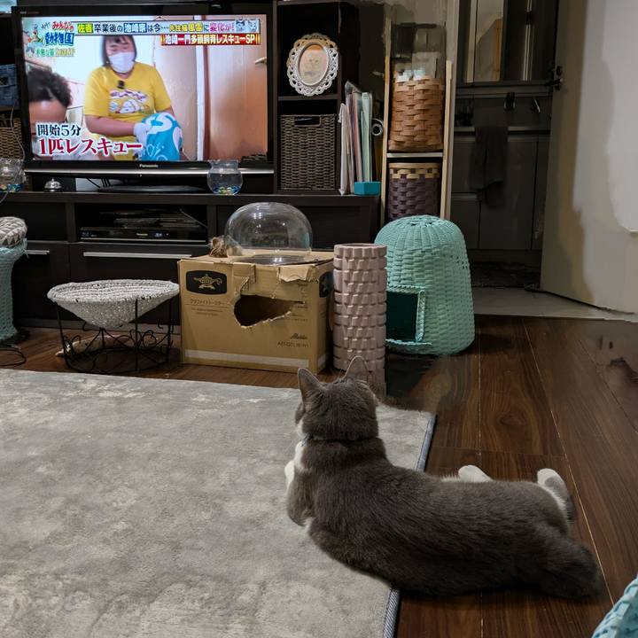 35469d5a e6d0 4e29 98e8 e406a32d63e8 1726917408669