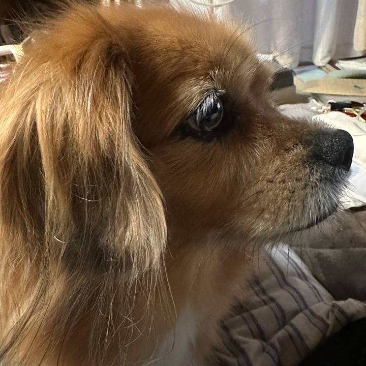 3546ae5a 2e9c 4243 9a46 d2979b43ab13 1729717114340