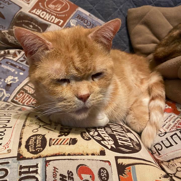 3546af3c fa16 4be5 b7ae f958e9934db7 1583499213911