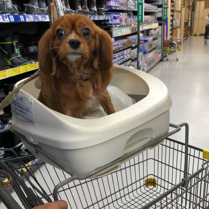 3546de30 ff76 48de bcfb 908f736dd80f 1538346079372