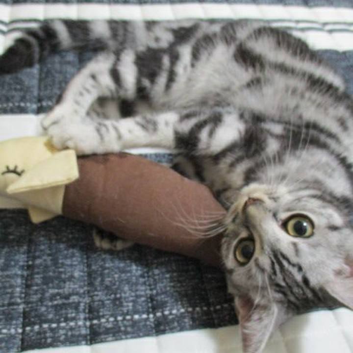 354720d4 b1ba 456c a47a d73a4d99da8a 1537969056802