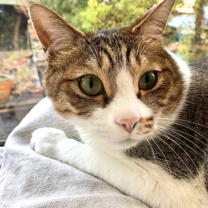 3547863c e55d 43ec 9a23 891e038a92f7 1552457374895