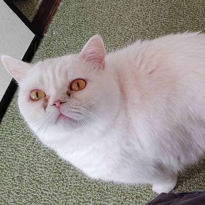 3547a6a5 19bf 430f 99a6 2c377c510faf 1638063785561