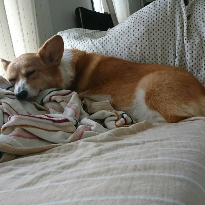 3547a70d d53f 4d59 9ee4 ae8a8ea98e5f 1530330188473