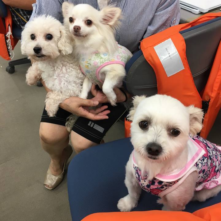 3547e30d 9da7 4b28 8d35 6d6940fedc0b 1534139941645