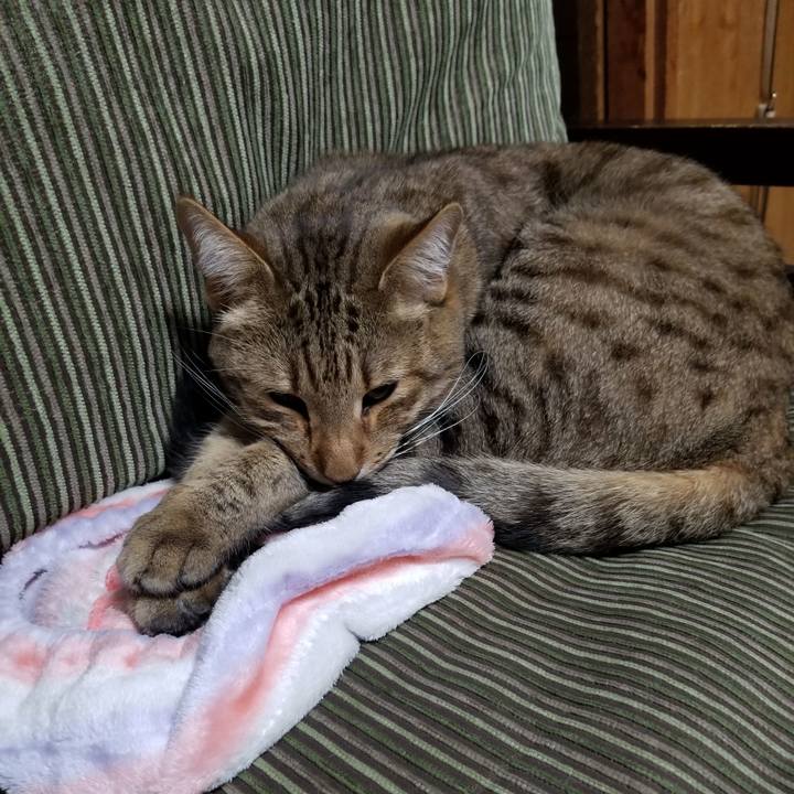 354813d2 dffb 4528 b35d fda5bdb002c4 1649080250128