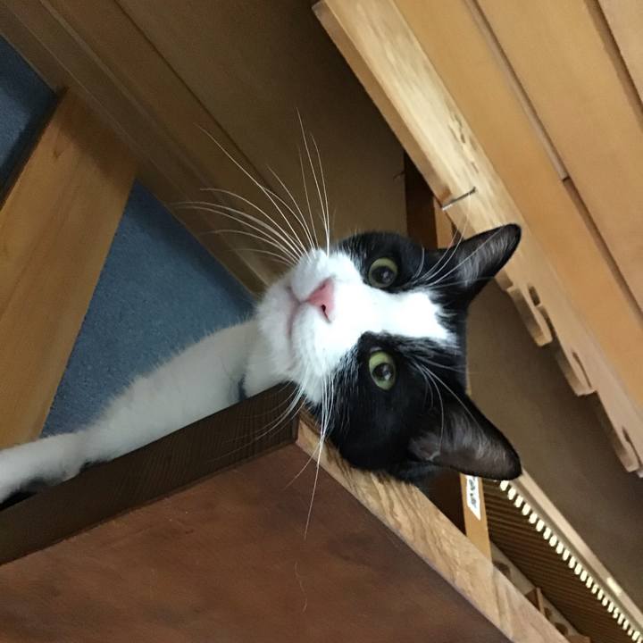 3548491a c2dc 42c3 97c0 210fa7787e5d 1753099288998