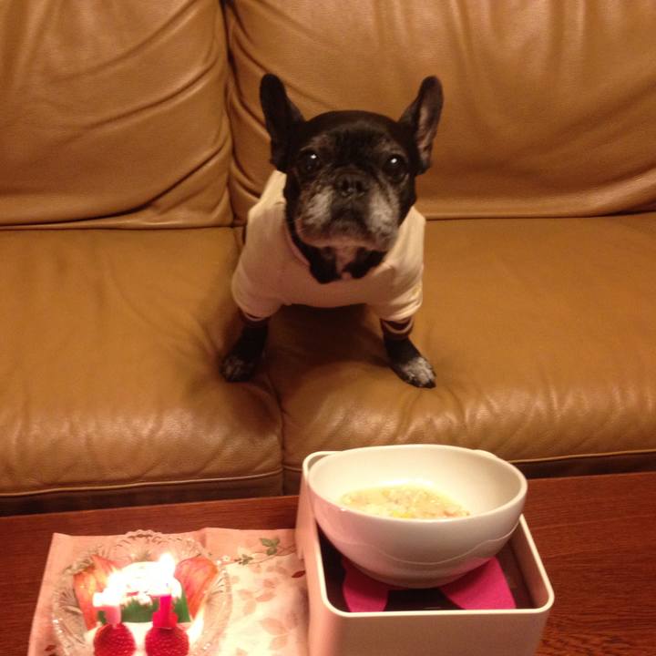 35484b52 ba97 472e 97bf 095ac97a4a5b 1705897788780