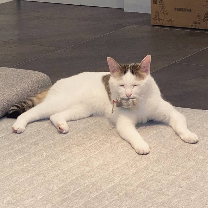 35485bc0 18f3 4261 9794 41e35691042f 1588258466625