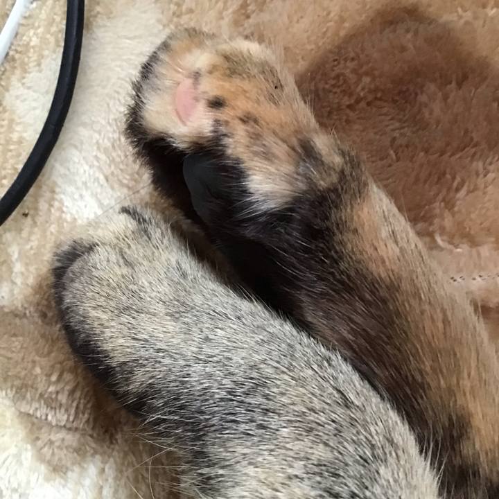 35489218 f0b9 4019 97ed c4245fd3dc14 1573175332183