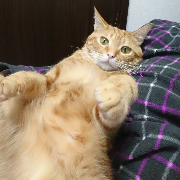 3548a238 abd8 4081 a9e9 0ab28be4c04f 1512745349023