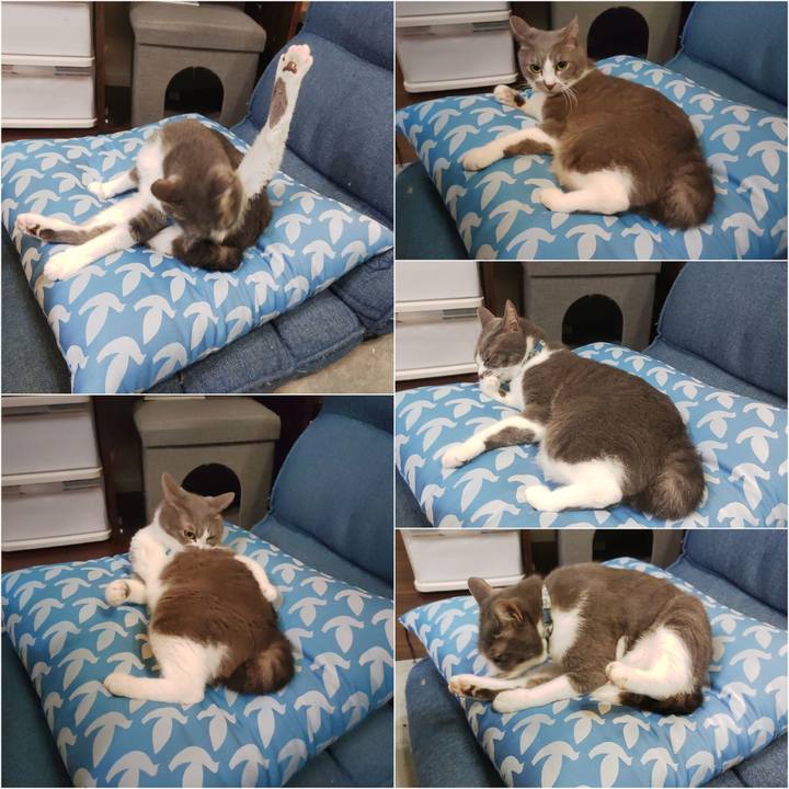 3548a6ff 96ba 48d3 846b a8b4bd09ccb7 1692623017426