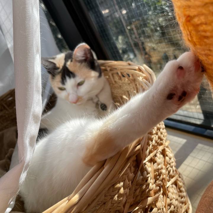 354902e0 73c4 487e b4c3 b984ffcdea74 1739578667946