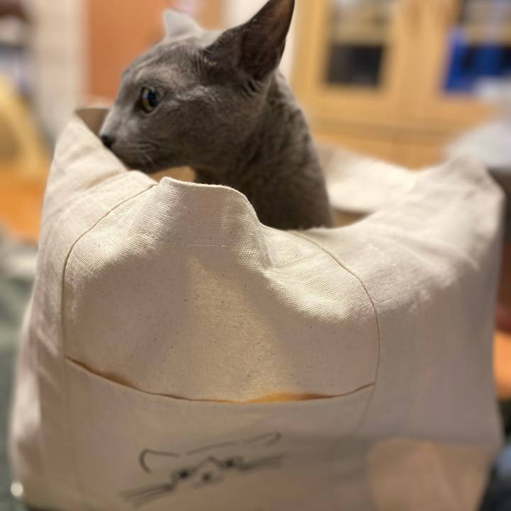 35490d03 4a13 40e0 b7b8 b8024ef4be4b 1651464330792