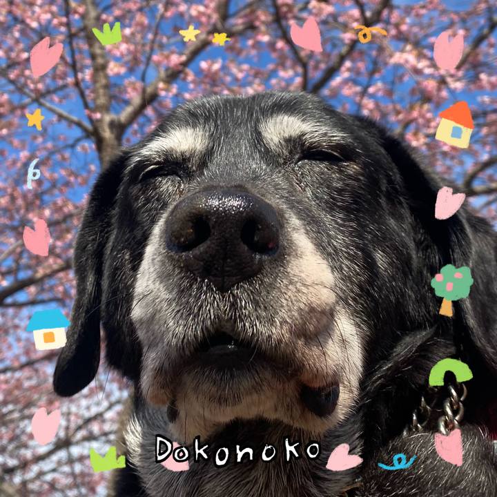 3549163b e4b8 4e2e 95d4 6c179bf8baf7 1741064778512