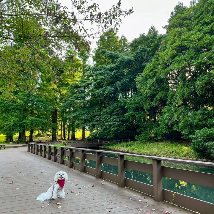 3549181f 1b31 4d77 acc3 caeceac8a567 1664857633053