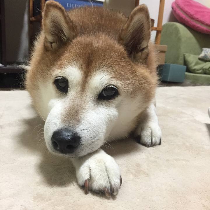 3549391a d71e 4758 9f6c d21d49793d80 1535721228687