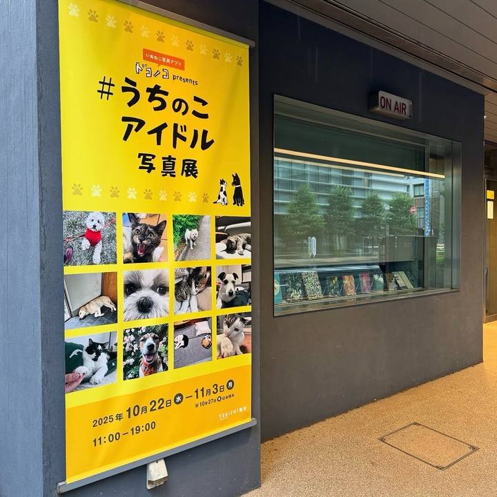 35493b88 62a6 4e74 9b48 da9333057d11 1761140703387