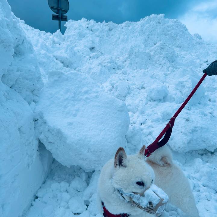 35496e30 090b 4191 96f5 4abd9596fcdc 1768948226159