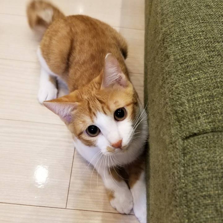 35497334 5a13 4308 a5cf fe2c38708a32 1511103593309