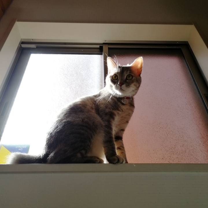 35498d2f fc9e 45c3 9183 88161e9f825d 1527124251651