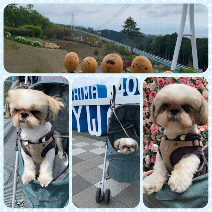 354996a9 2890 4fa2 85a6 53f7576f64c7 1619343473561