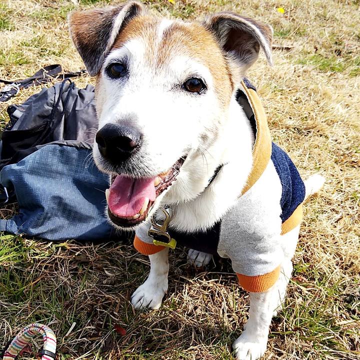 3549b659 3a56 40a8 ba5c 4e7d3ddfbb51 1550980765134