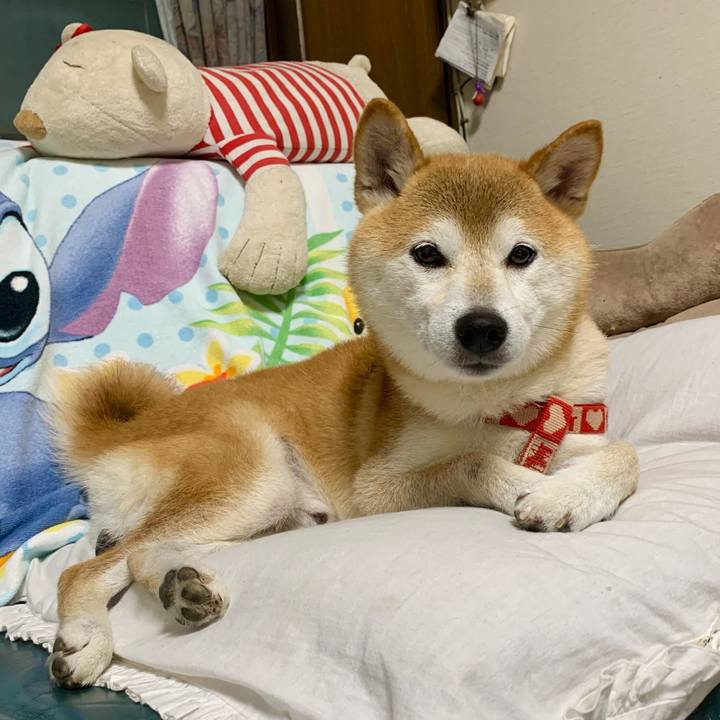 3549c6f8 f865 4f4a 9adc bb046ce95aed 1630579900032