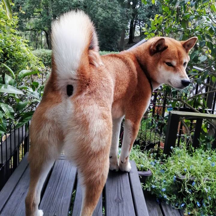 3549d7dc 728d 4045 9847 38013c8a8b9d 1586667819636