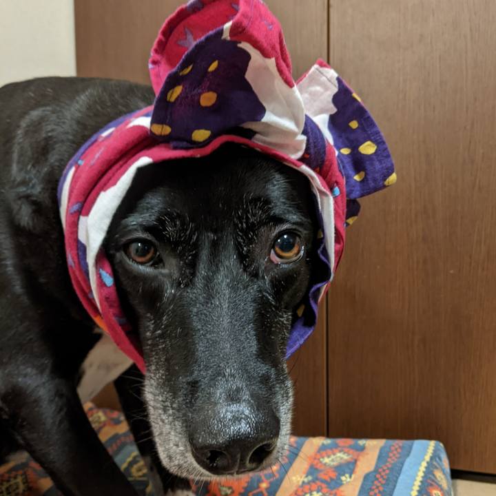 354a2e2c 8251 4573 94ae 512e462f739c 1697108554493