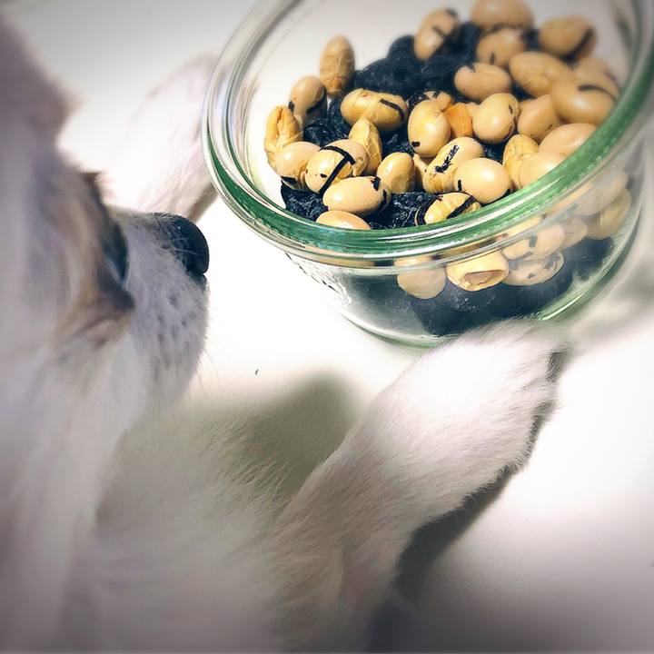 354a2f13 ab38 4ef5 93fe 0317b67a5a86 1549191723285